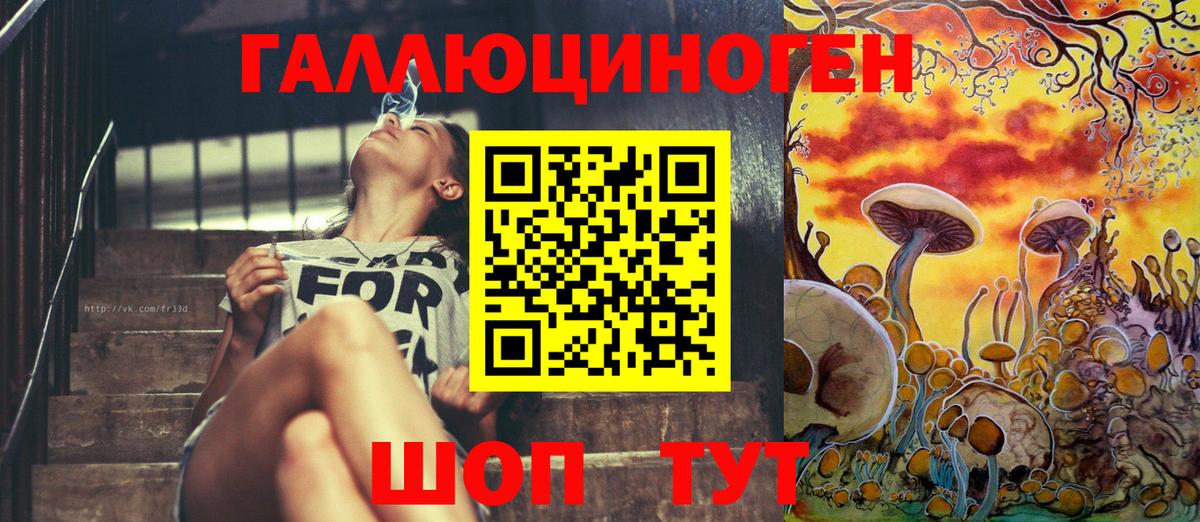Родники  Галлюциногенные грибы GOLDEN TEACHER  Вход с VPN 