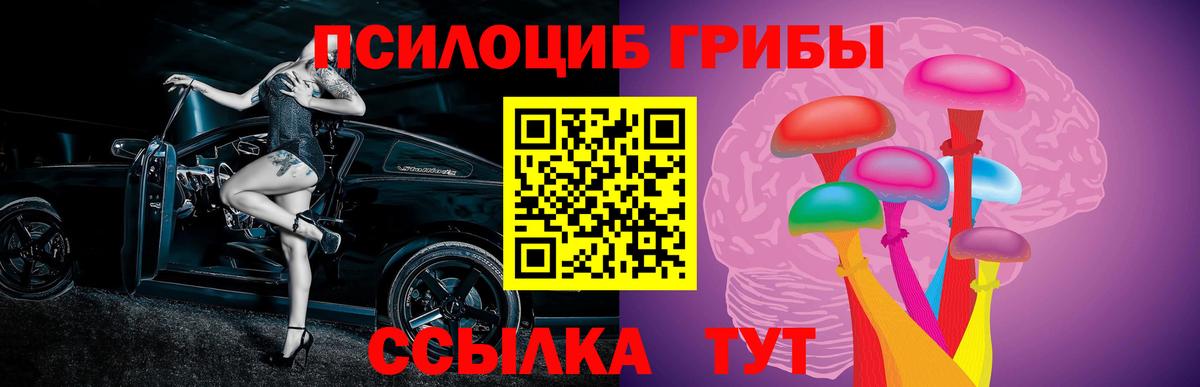 Псилоцибиновые грибы прущие грибы Родники